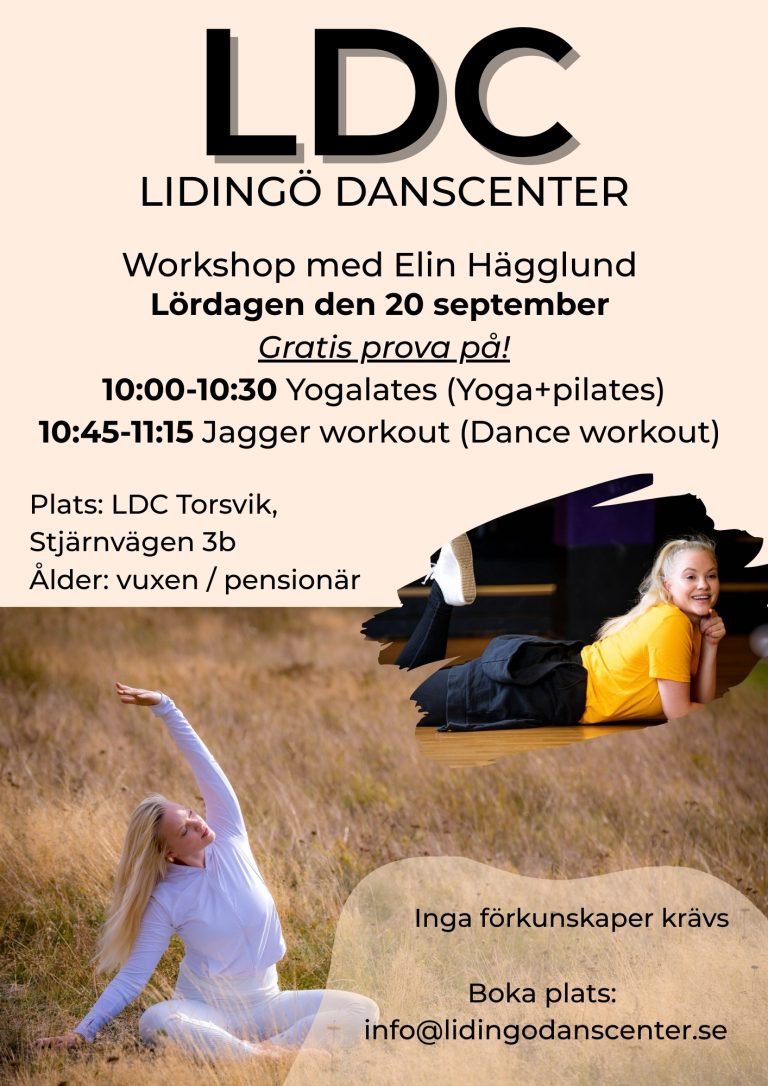 Elin workshopw